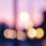 女性獣医師アンケート～まとめ～