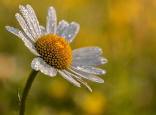 「心、ここにあらず」になっていませんか？