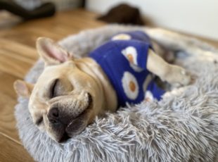 相手を変えようとしない聴き方