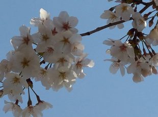 新人研修始まりました!