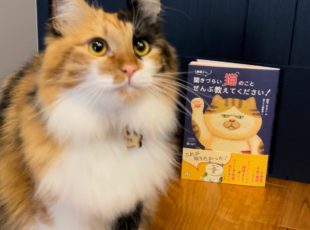 愛猫の健康のために、獣医師とのコミュニケーションを